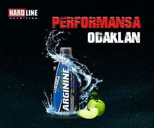 Hardline 300x250 banner