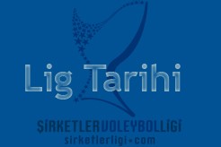 Lig Tarihi / 2008