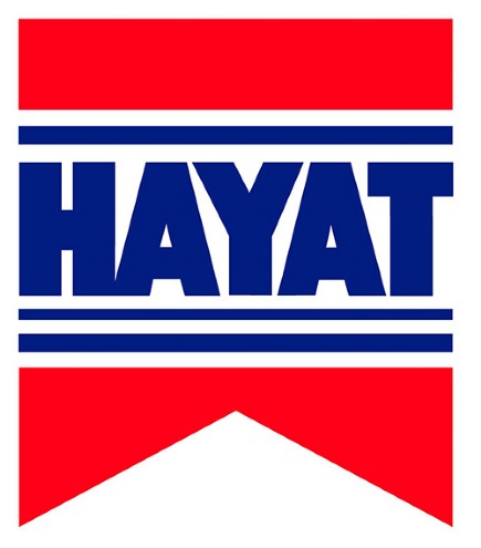 Hayat Holding