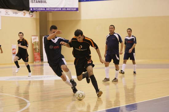 SINO1282