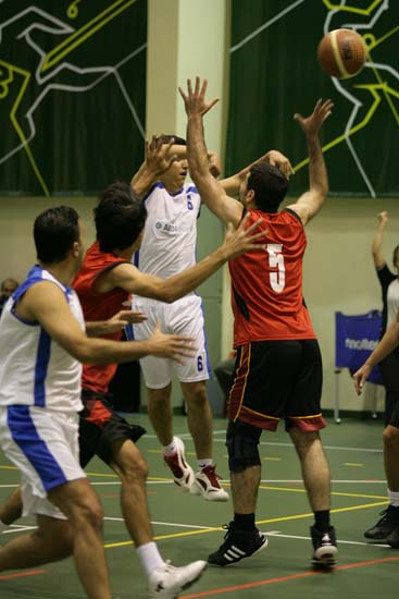 SINO8782