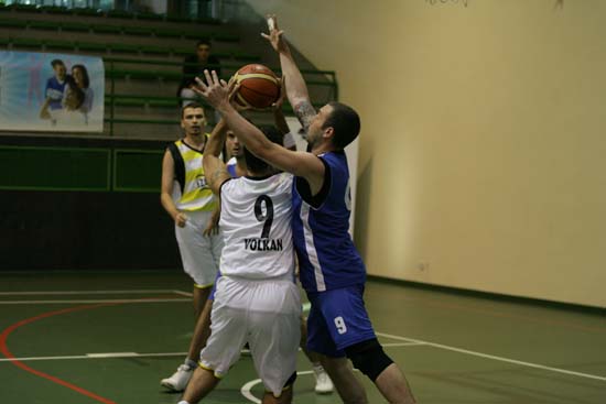 SINO0236