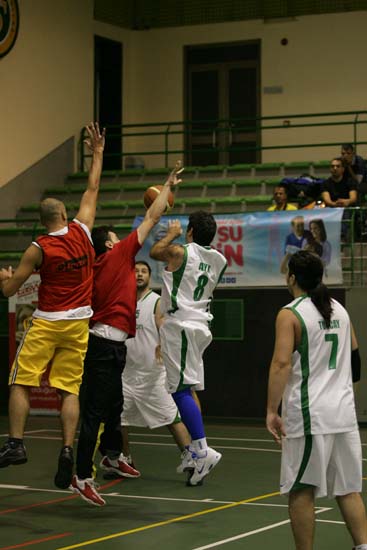 SINO0294
