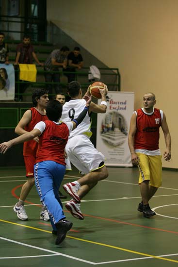 SINO0469