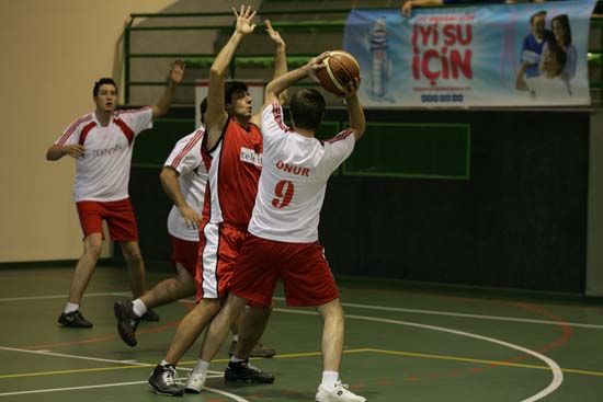 SINO0331