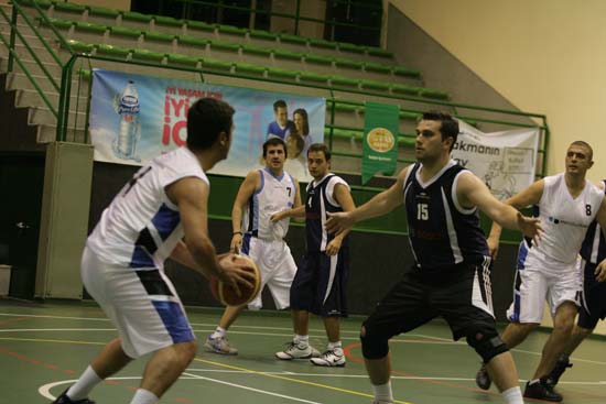 SINO7282