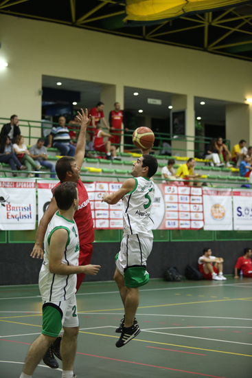 SINO8843
