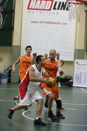 SINO8331