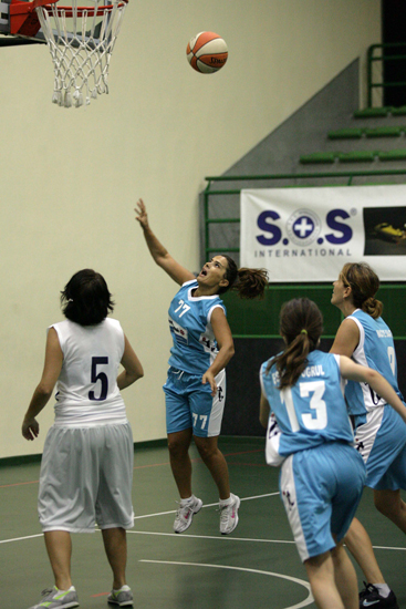 SINO3429