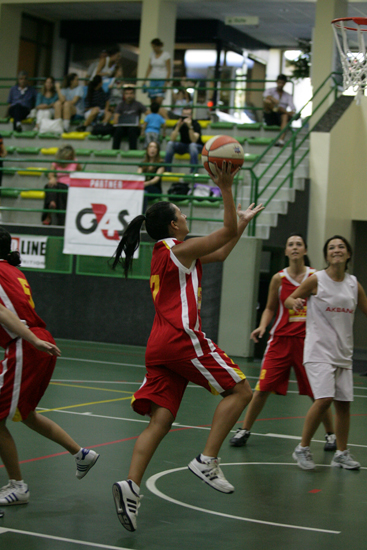 SINO3509
