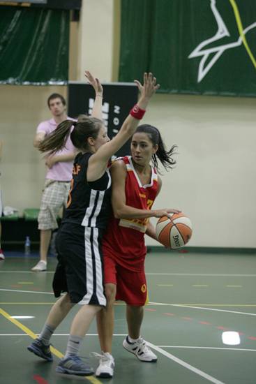 SINO4141