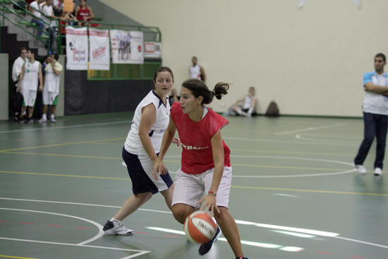 SINO4173