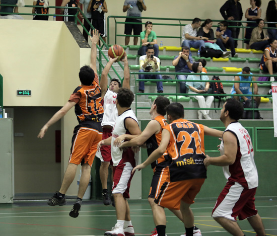 SINO1124