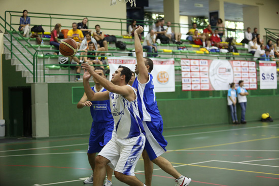SINO5582