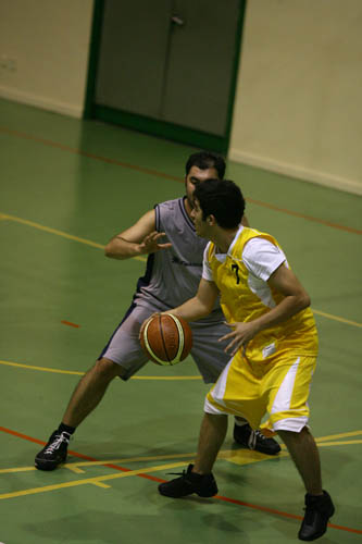 SINO3304