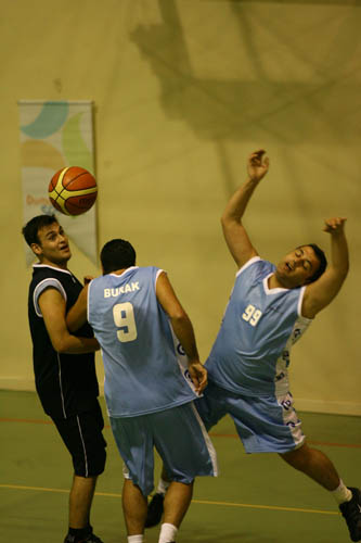 SINO2804