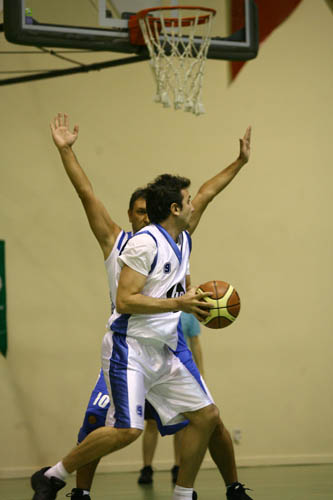 SINO3195
