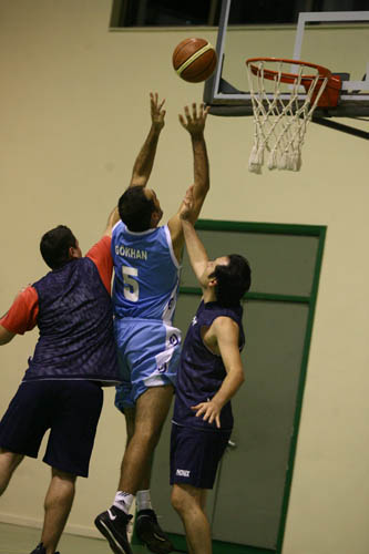 SINO3113