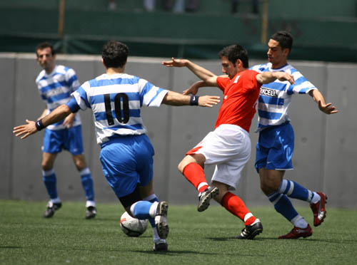 SINO0493