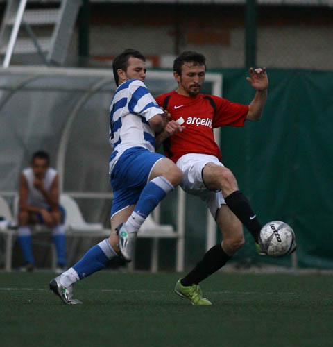 SINO2410