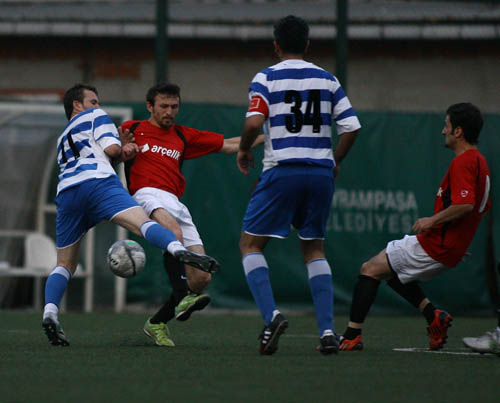 SINO2411