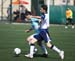 SINO4978