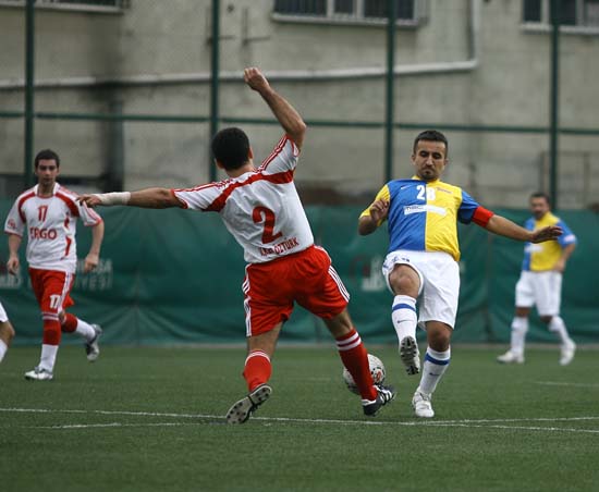 SINO0613