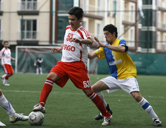 SINO0619
