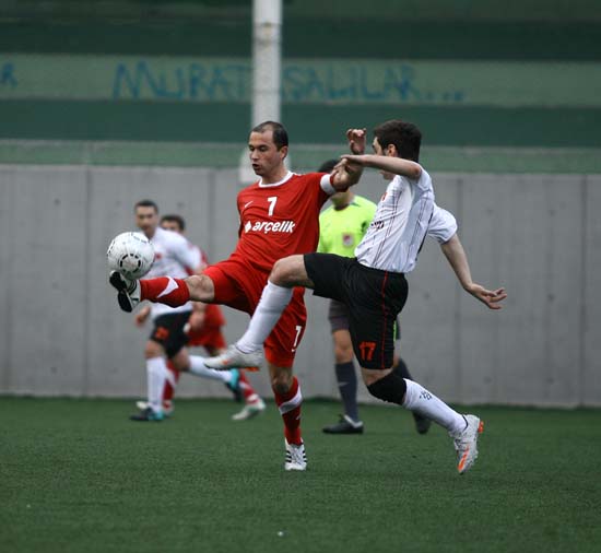 SINO0811