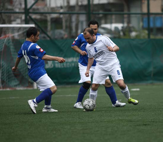 SINO3231