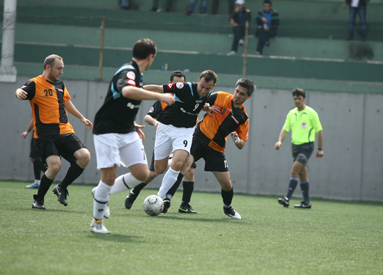SINO4384