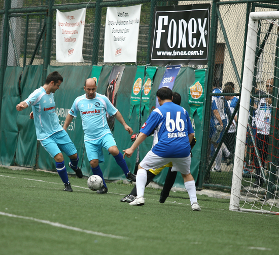 SINO4233