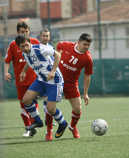 SINO4421