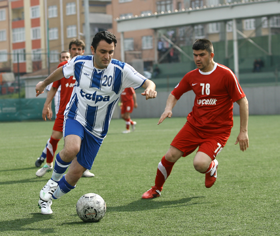 SINO4442
