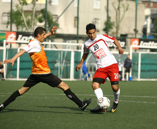 SINO8267