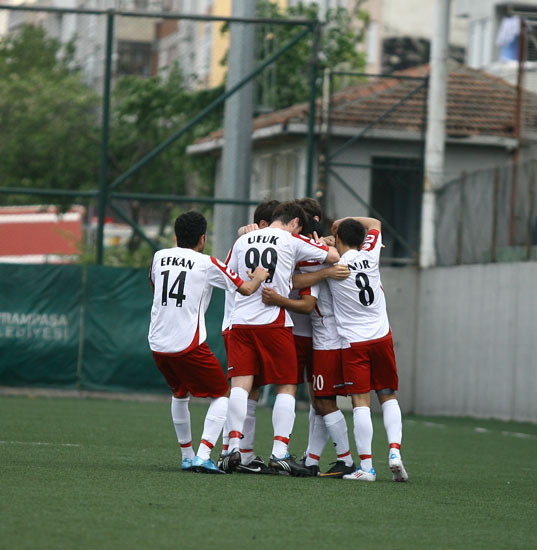 SINO8291