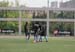 SINO1769