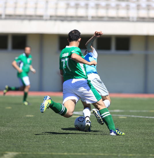 SINO7202