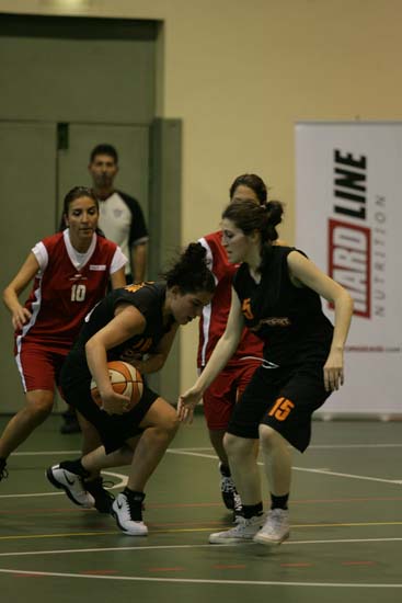 SINO1105