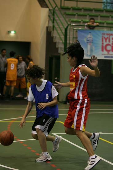SINO1129