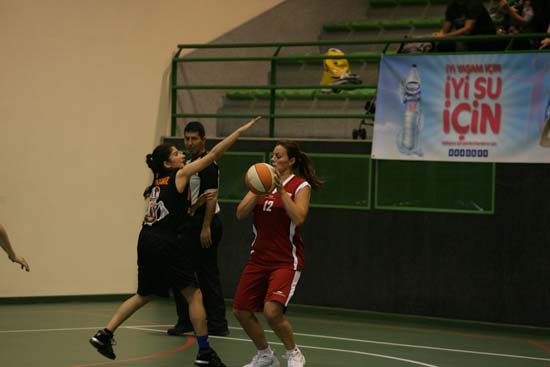 SINO1135