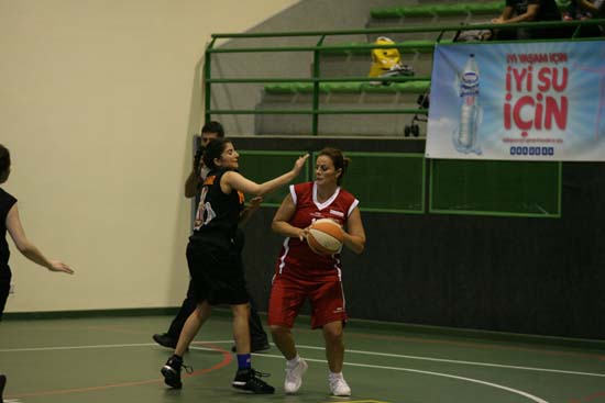 SINO1136
