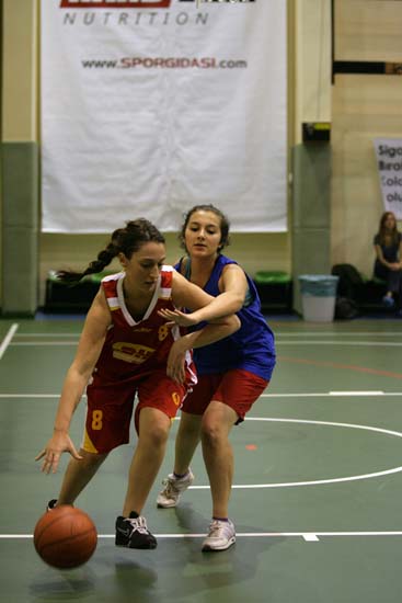 SINO1182