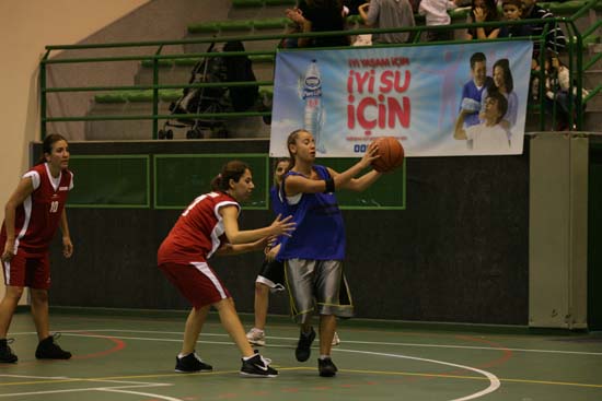SINO1386