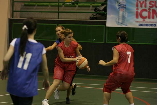 SINO1213