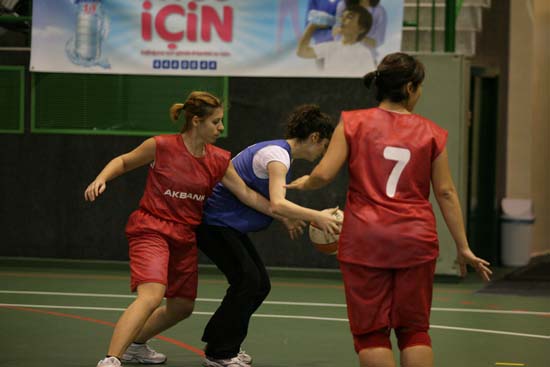 SINO1216