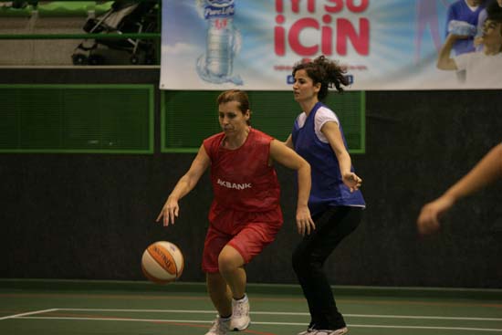 SINO1228