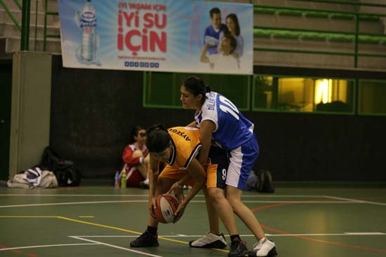 SINO1254