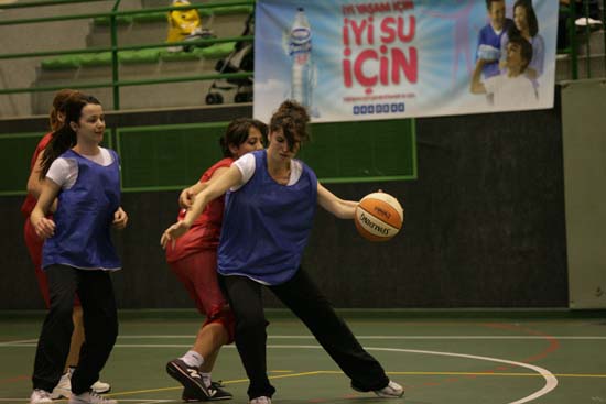 SINO1261
