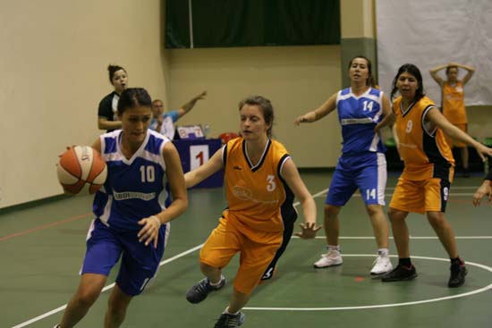 SINO1348